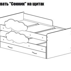 Кровать выкатная Соник на щитах (800*1600) с бортиком + ящик в Агрызе - agryz.mebel24.online | фото 2