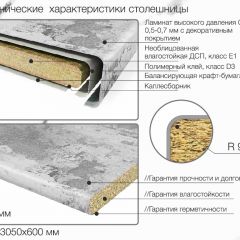 Кухонный фартук со столешницей (А-010) в едином стиле (3050 мм) в Агрызе - agryz.mebel24.online | фото 7