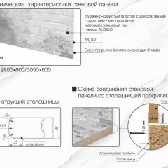 Кухонный фартук со столешницей (А-010) в едином стиле (3050 мм) в Агрызе - agryz.mebel24.online | фото 6