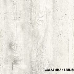 Кухонный гарнитур Алина макси (1800) в Агрызе - agryz.mebel24.online | фото 7