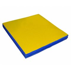 Мат гимнастический 1х1х0,05м цв. синий-желтый в Агрызе - agryz.mebel24.online | фото
