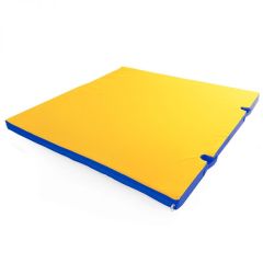 Мат гимнастический 1х1х0,05м с вырезом под стойки цв. синий-желтый в Агрызе - agryz.mebel24.online | фото