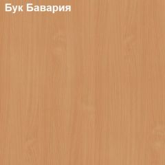 Надставка к столу компьютерному низкая Логика Л-5.1 в Агрызе - agryz.mebel24.online | фото 2