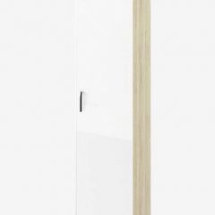 СОФИ СШП450.1 Пенал в Агрызе - agryz.mebel24.online | фото 1