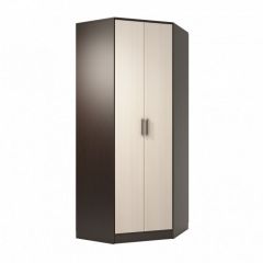 Прихожая ДИАНА-4 сек №7 (Ясень анкор/Дуб эльза) в Агрызе - agryz.mebel24.online | фото