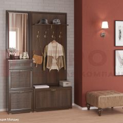Прихожая Карина композиция 2 (Акация Молдау) в Агрызе - agryz.mebel24.online | фото