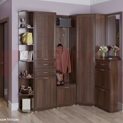 Прихожая Карина композиция 5 (Акация Молдау) в Агрызе - agryz.mebel24.online | фото
