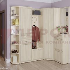 Прихожая Карина композиция 5 (Ясень Асахи) в Агрызе - agryz.mebel24.online | фото