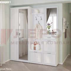 Прихожая Карина (модульная) в Агрызе - agryz.mebel24.online | фото 3