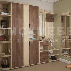 Прихожая Порту (модульная) в Агрызе - agryz.mebel24.online | фото 2