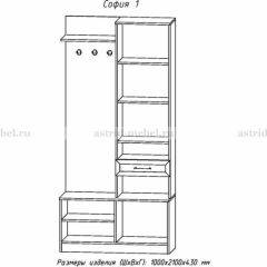 Прихожая София 1 в Агрызе - agryz.mebel24.online | фото 3