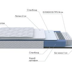 PROxSON Матрас Active Duo S/F (Ткань Трикотаж Эко) 80x195 в Агрызе - agryz.mebel24.online | фото 7