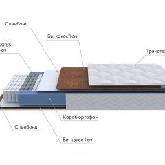 PROxSON Матрас Active F Roll (Ткань Трикотаж Эко) 120x200 в Агрызе - agryz.mebel24.online | фото 7