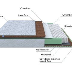 PROxSON Матрас Green Duo M/F (Tricotage Dream) 80x200 в Агрызе - agryz.mebel24.online | фото