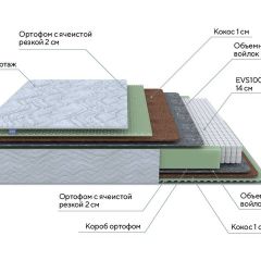 PROxSON Матрас Green M (Tricotage Dream) 120x190 в Агрызе - agryz.mebel24.online | фото 7