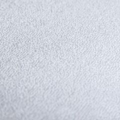 PROxSON Защитный чехол Aqua Save S (Ткань влагостойкая Terry Cloth) 160x220 в Агрызе - agryz.mebel24.online | фото 4
