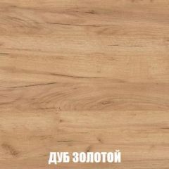 Шкаф 2-х створчатый МСП-1 (Дуб Золотой/Камень темный) в Агрызе - agryz.mebel24.online | фото 4