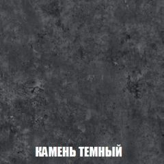Шкаф 2-х створчатый МСП-1 (Дуб Золотой/Камень темный) в Агрызе - agryz.mebel24.online | фото 5