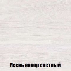 Шкаф 2-х створчатый МСП-1 (Ясень Анкор светлый) в Агрызе - agryz.mebel24.online | фото 4