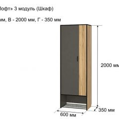 ОЛЬГА-ЛОФТ 3 Шкаф 2-х створчатый в Агрызе - agryz.mebel24.online | фото 4