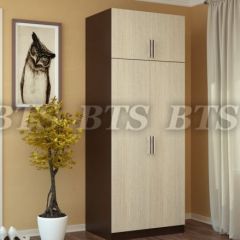 Шкаф 2-х створчатый с перегородкой (венге/лоредо) в Агрызе - agryz.mebel24.online | фото 1