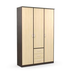 Шкаф комбинированный Дуэт Люкс без зеркала в Агрызе - agryz.mebel24.online | фото 2