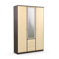 Шкаф комбинированный Дуэт Люкс с зеркалом в Агрызе - agryz.mebel24.online | фото 2