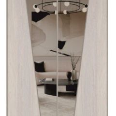 Шкаф-купе 1300 серии SILVER S3+S4+B2+PL4 (2 ящика+F обр.штанга) профиль «Серебро» в Агрызе - agryz.mebel24.online | фото 12