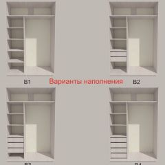 Шкаф-купе 1300 серии SILVER S3+S4+B2+PL4 (2 ящика+F обр.штанга) профиль «Серебро» в Агрызе - agryz.mebel24.online | фото 5