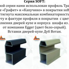 Шкаф-купе 1400 серии SOFT D6+D6+B2+PL3 (2 ящика+2штанги) профиль «Капучино» в Агрызе - agryz.mebel24.online | фото 12