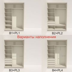 Шкаф-купе 1400 серии SOFT D6+D6+B2+PL3 (2 ящика+2штанги) профиль «Капучино» в Агрызе - agryz.mebel24.online | фото 6