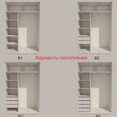 Шкаф-купе 1500 серии SILVER S1+S1+B2+PL2 (2 ящика+1 штанга+1 полка) профиль «Серебро» в Агрызе - agryz.mebel24.online | фото 5