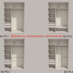 Шкаф-купе 1500 серии SILVER S1+S1+B2+PL2 (2 ящика+1 штанга+1 полка) профиль «Серебро» в Агрызе - agryz.mebel24.online | фото 6