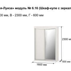 Шкаф-купе 1600 с зеркалом "Мария-Луиза 6.16" в Агрызе - agryz.mebel24.online | фото 4