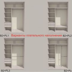 Шкаф-купе 1700 серии SILVER S3+S4+B2+PL4 (2 ящика+F обр.штанга) профиль «Серебро» в Агрызе - agryz.mebel24.online | фото 6