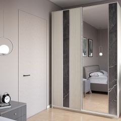 Шкаф-купе 1700 серии SILVER S4+S3Z+B2+PL1 (2 ящика+1 штанга) профиль «Серебро» в Агрызе - agryz.mebel24.online | фото