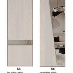Шкаф-купе 1700 серии SILVER S5+S5+B2+PL3 (2 ящика+2 штанги) профиль «Серебро» в Агрызе - agryz.mebel24.online | фото 11