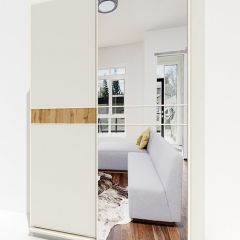Шкаф-купе 1800 серии SOFT D6+D4+B2+PL2 (2 ящика+1штанга+1 полка) профиль «Капучино» в Агрызе - agryz.mebel24.online | фото 4