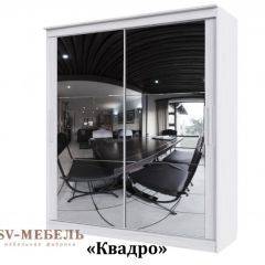 Шкаф-купе №19 Серия 3 Квадро (1700) Ясень Анкор светлый в Агрызе - agryz.mebel24.online | фото