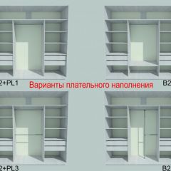 Шкаф-купе 1950 серии SILVER S3+S1+S4 B22+PL3 (по 2 ящика лев/прав+2 штанги) профиль «Серебро» в Агрызе - agryz.mebel24.online | фото 6