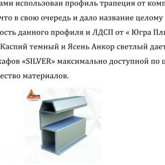 Шкаф-купе 1950 серии SILVER S5+S5+S5 B22+PL4 (по 2 ящика лев/прав+F обр.штанга) профиль «Серебро» в Агрызе - agryz.mebel24.online | фото 4