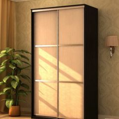 Шкаф-купе "Де-Люкс" 2-х дверный №1 (1200) в Агрызе - agryz.mebel24.online | фото