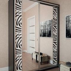 Шкаф-купе "Премиум" 2-х дверный №16 (1800) в Агрызе - agryz.mebel24.online | фото