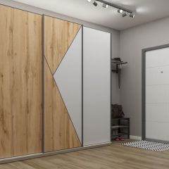 Шкаф-купе 2100 серии SOFT D2+D7+D3+B22+PL2 (по 2 ящика лев/прав+1штанга+1полка) профиль «Графит» в Агрызе - agryz.mebel24.online | фото