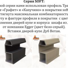 Шкаф-купе 2100 серии SOFT D5+D4+D5+B22+PL3 (по 2 ящика лев/прав+2штанги) профиль «Графит» в Агрызе - agryz.mebel24.online | фото 12