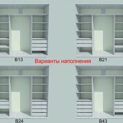 Шкаф-купе 2250 серии SILVER S3+S1+S3Z B22+PL2 (по 2 ящика лев/прав+1штанга+1 полка) профиль «Серебро» в Агрызе - agryz.mebel24.online | фото 5