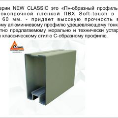 Шкаф-купе 2450 серии NEW CLASSIC K4+K4+K4+B22+PL4 (по 2 ящика лев/прав+F обр.штанга) профиль «Капучино» в Агрызе - agryz.mebel24.online | фото 17