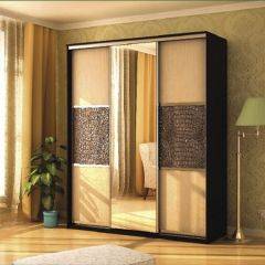 Шкаф-купе "Де-Люкс" 3-х дверный №6 (1500) в Агрызе - agryz.mebel24.online | фото