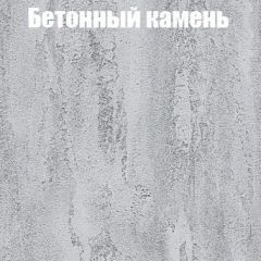 Шкаф-купе Бассо 1.0 (Дуб Крафт серый/Бетонный камень) 2 двери ЛДСП 2 зеркальные вставки в Агрызе - agryz.mebel24.online | фото 3