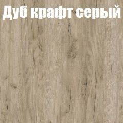 Шкаф-купе Бассо 1.0 (Дуб Крафт серый/Бетонный камень) 2 двери ЛДСП 2 зеркальные вставки в Агрызе - agryz.mebel24.online | фото 4